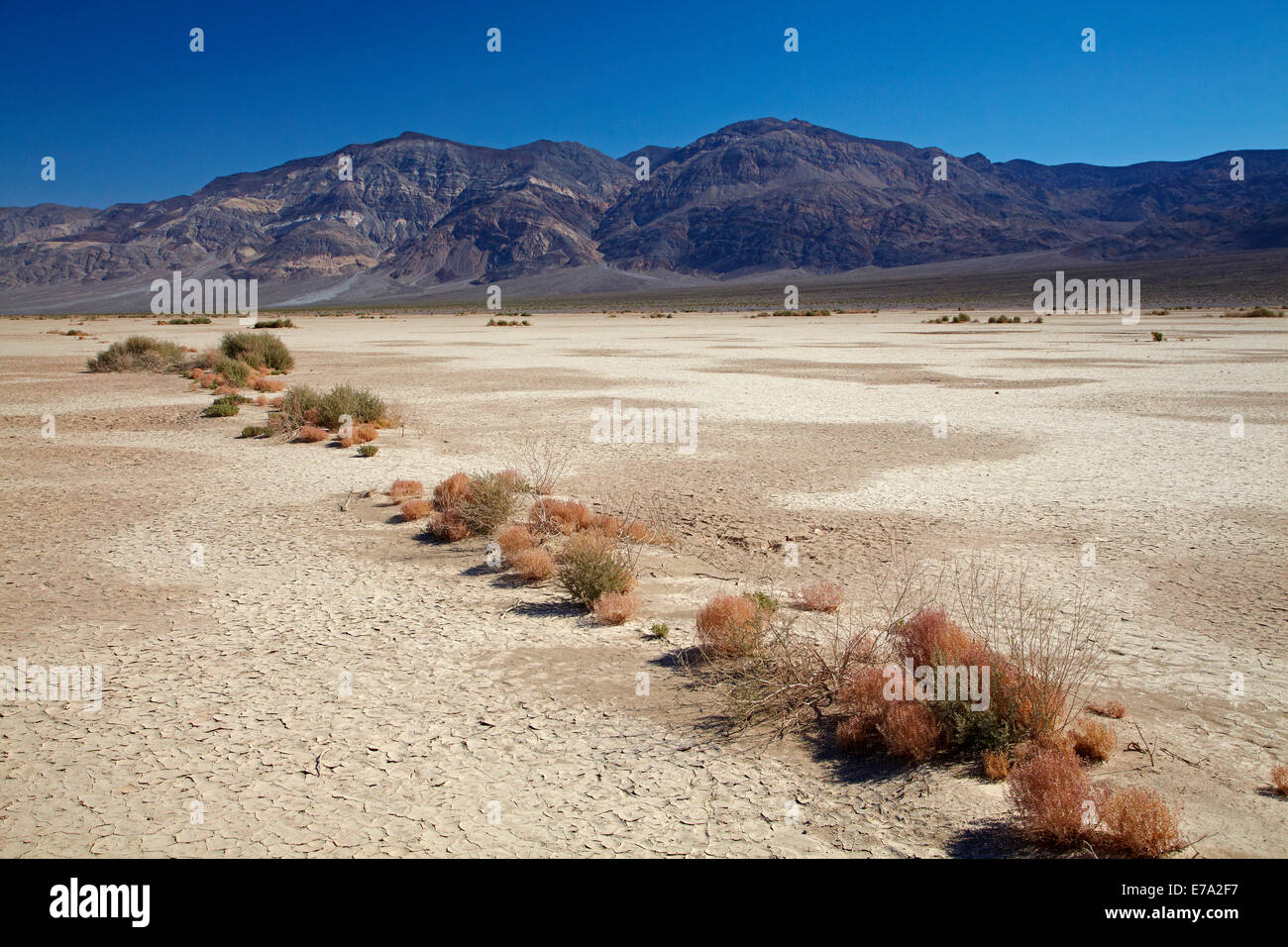 Salt Pan, Panamint Valley, et Panamint Range, Death Valley National Park, désert de Mojave, Californie, USA Banque D'Images