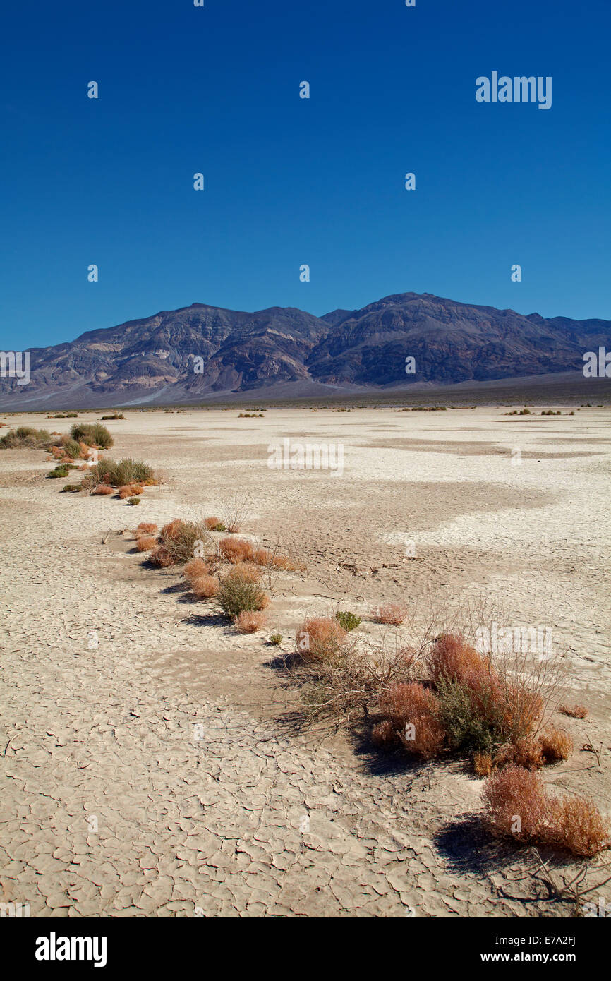 Salt Pan, Panamint Valley, et Panamint Range, Death Valley National Park, désert de Mojave, Californie, USA Banque D'Images