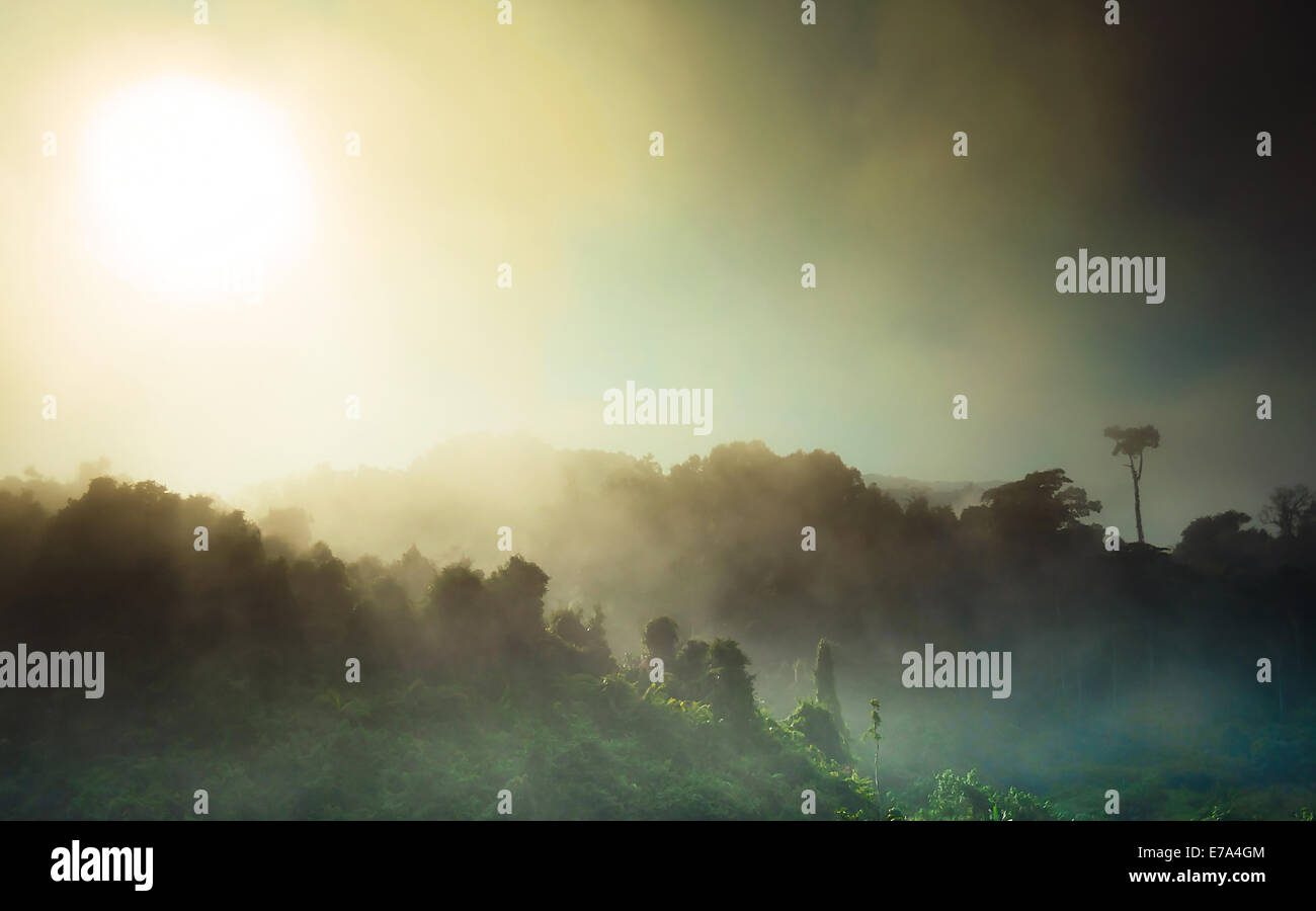 Le soleil se lève avec la brume du matin. Banque D'Images