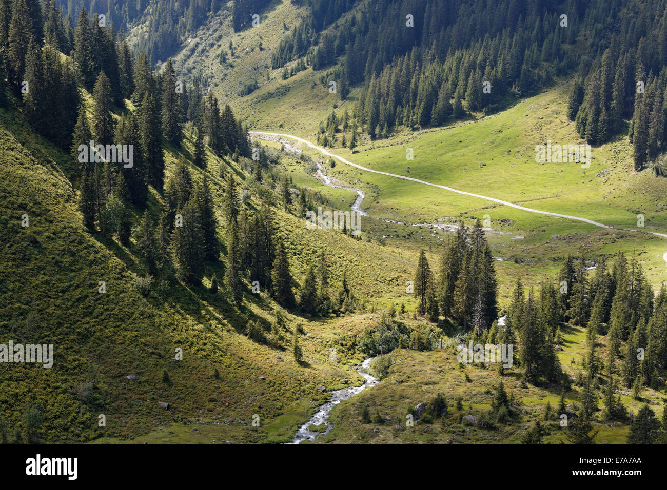Wasserstubental, vallée de montagnes de Verwall, Vorarlberg, Autriche Banque D'Images