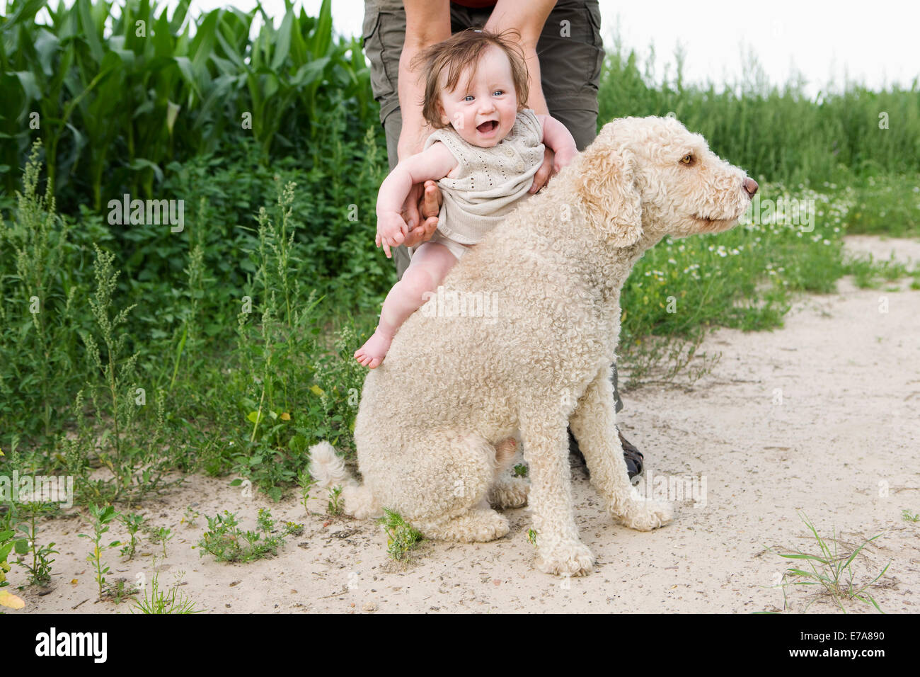 Woman holding baby girl on chien d'eau portugais est de retour Banque D'Images