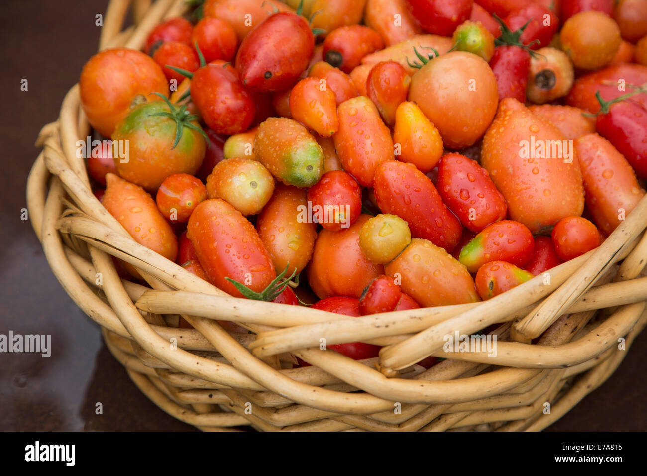 Close-up de tomates fraîches au guichet panier Banque D'Images