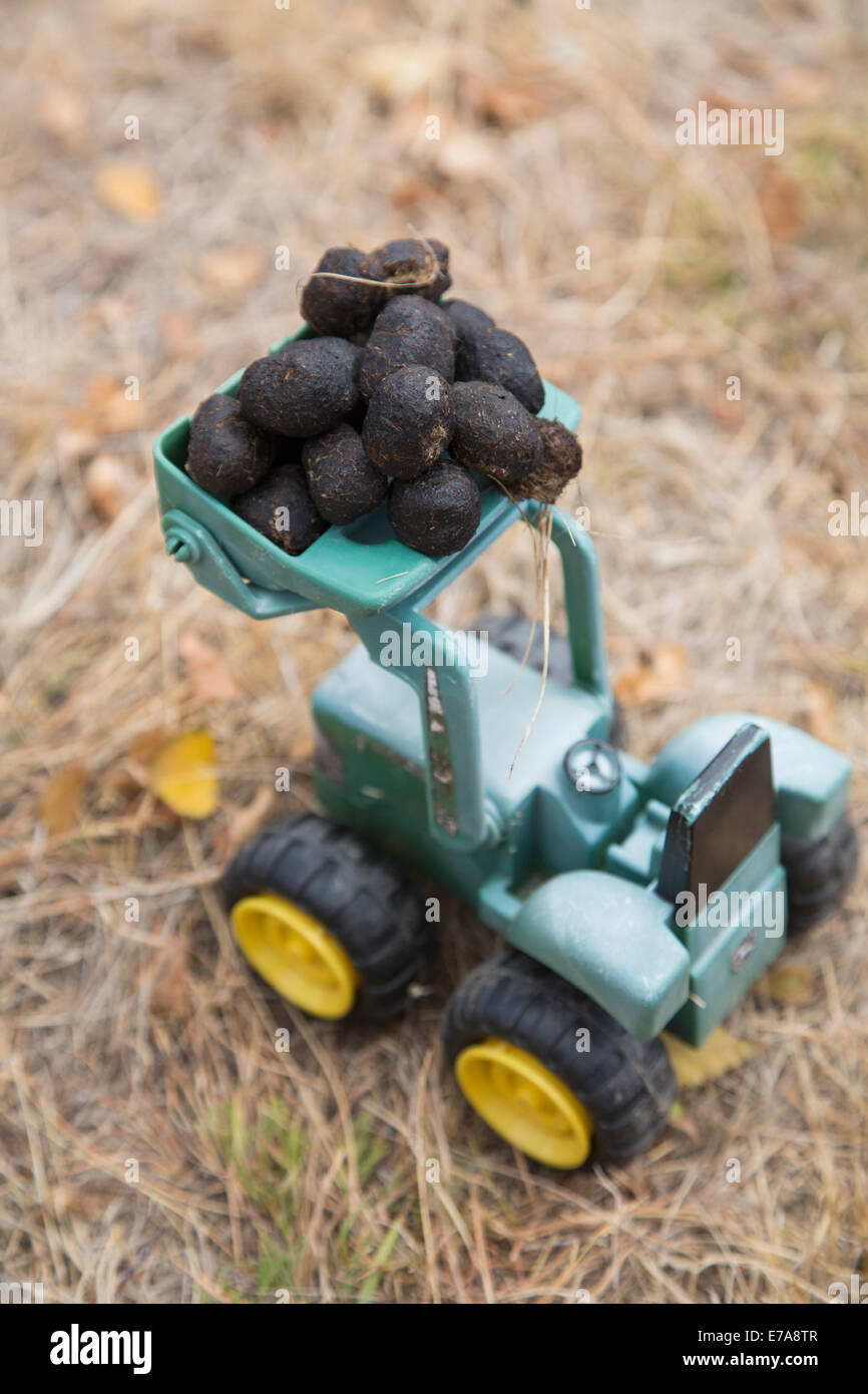 Du fumier animal sur tracteur jouet Banque D'Images