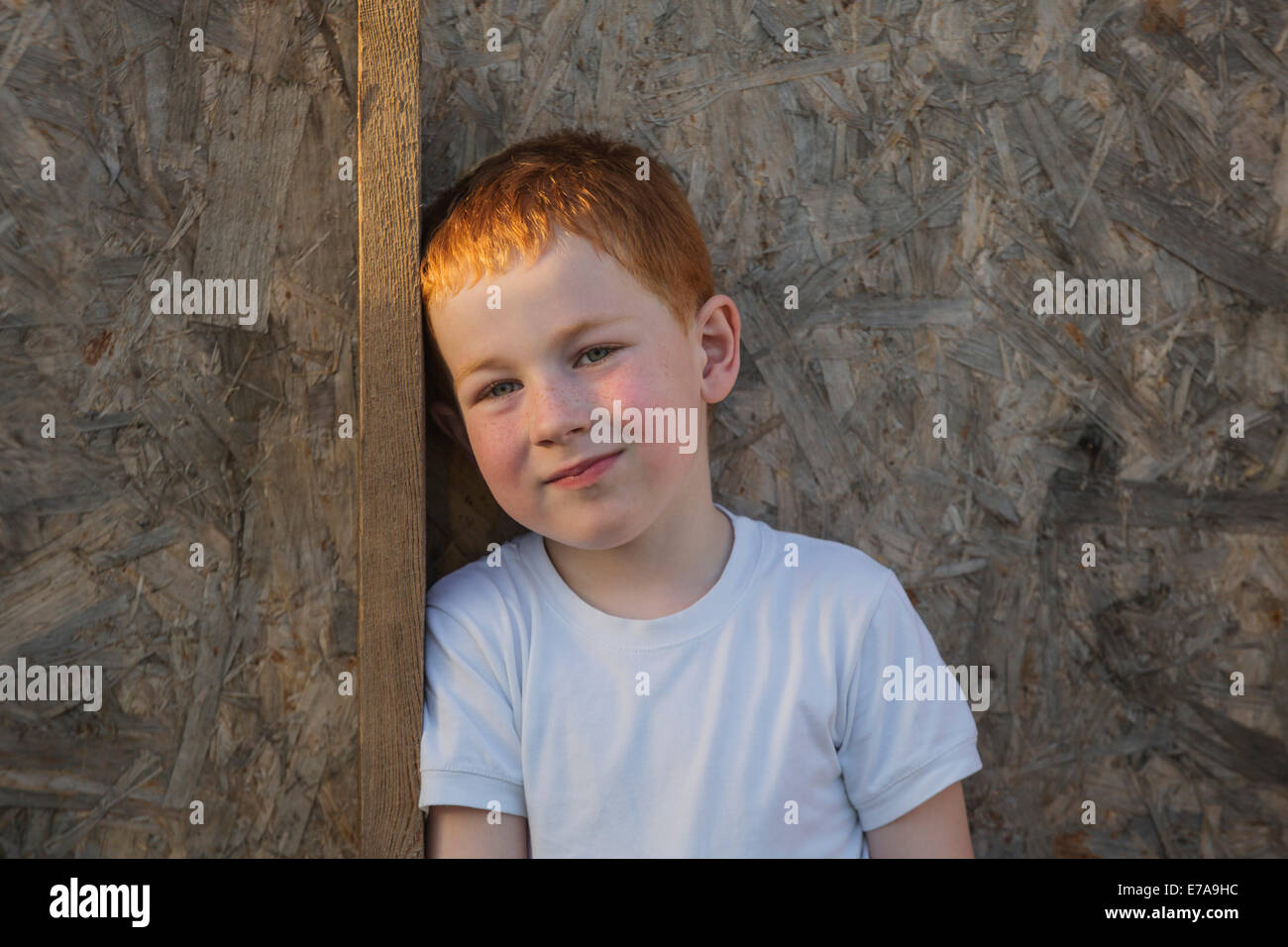 Portrait of young boy leaning on wooden plank Banque D'Images
