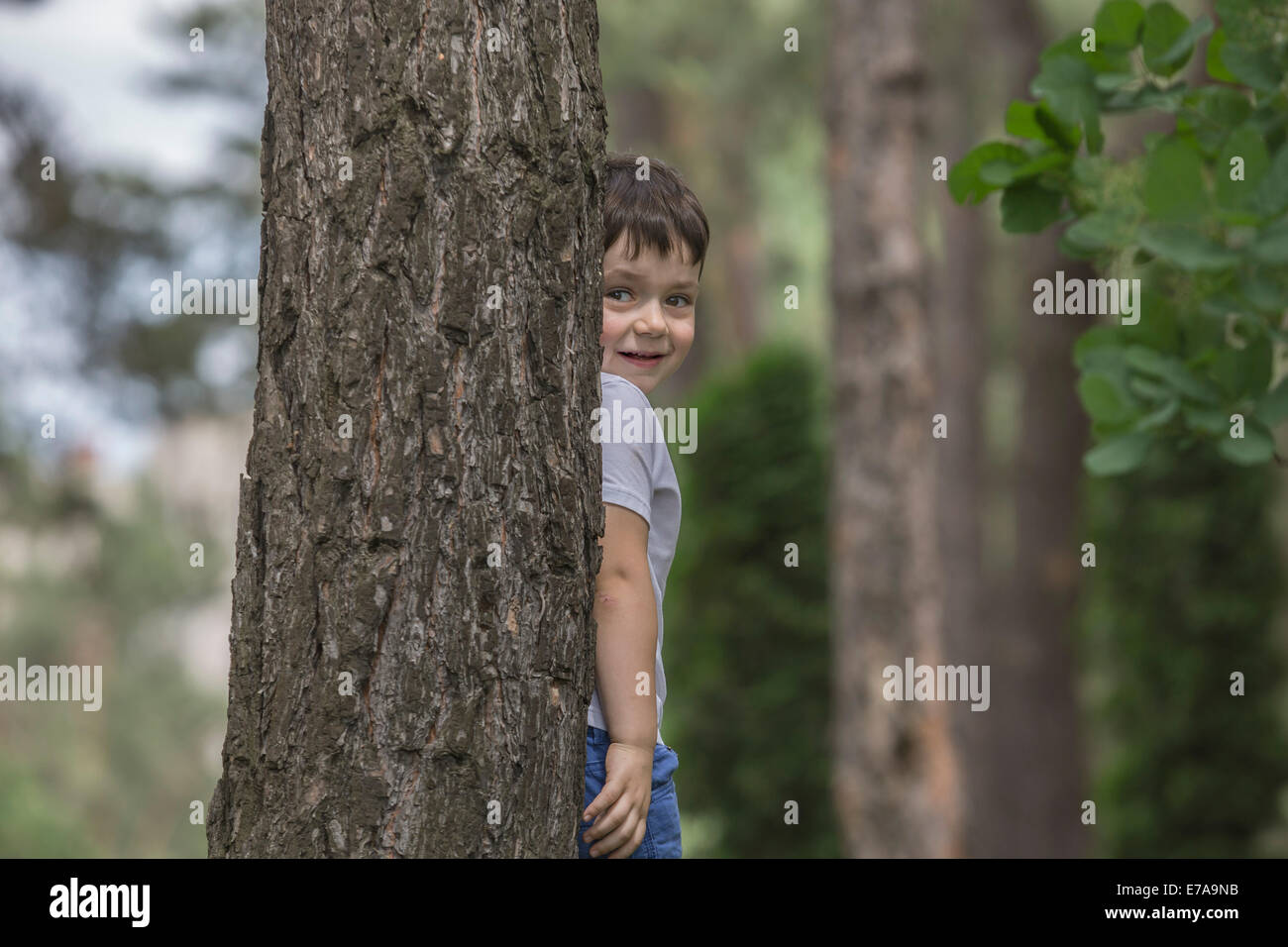 Cute boy Hiding behind tree trunk in park Banque D'Images
