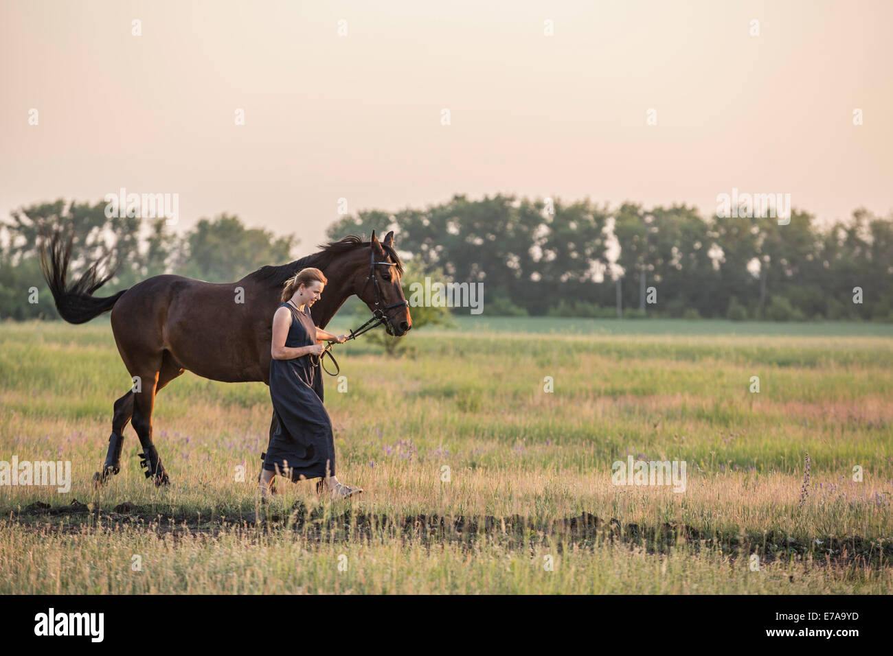 Mid adult woman with horse marche sur terrain Banque D'Images