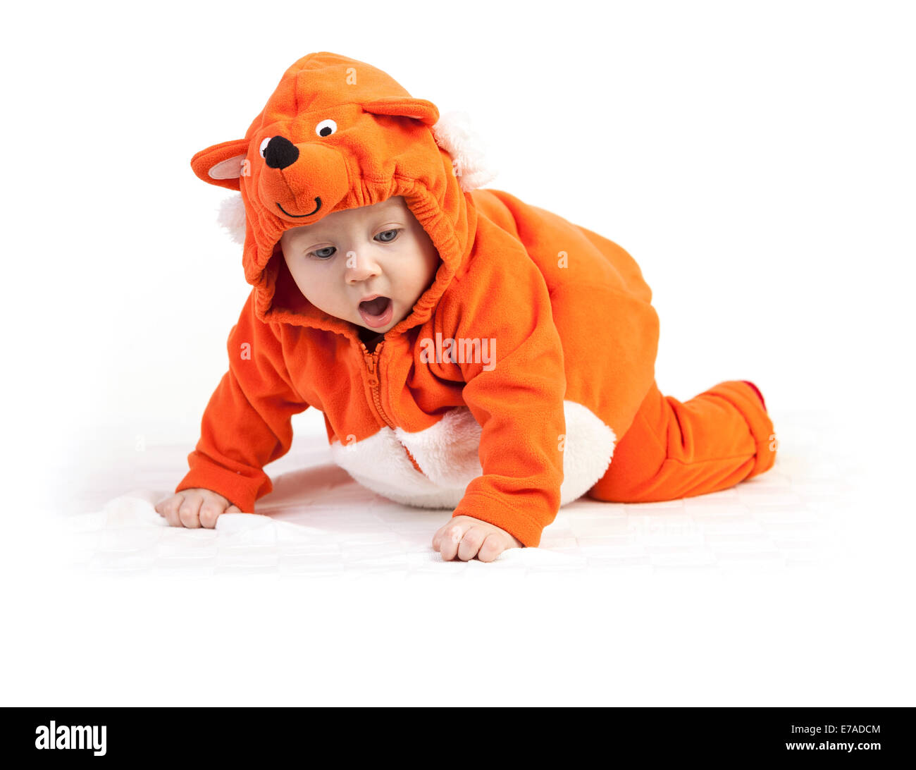 Baby Boy in costume fox à la surprise avec over white Banque D'Images