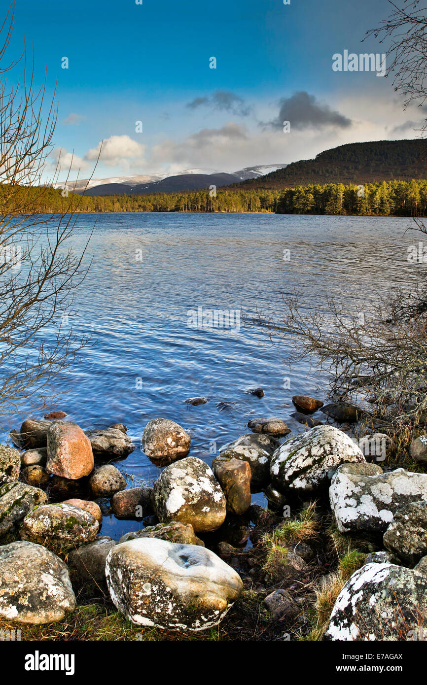 Loch an Eilein ; Rothiemurchus ; Aviemore ; Écosse ; Banque D'Images