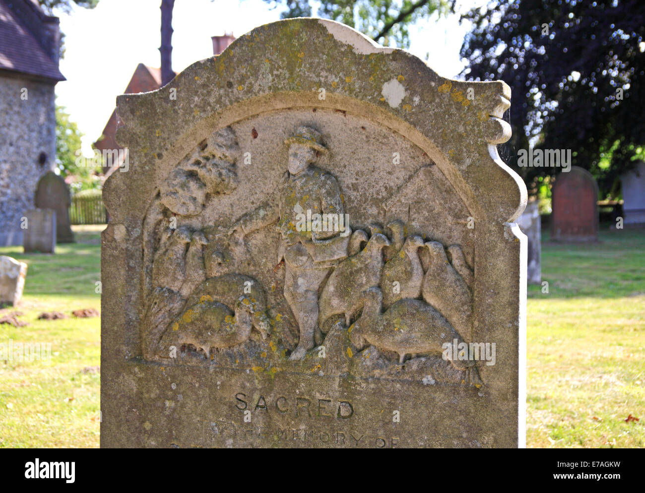 Détail de la pierre tombale de Basey George, décédé en 1876, dans le cimetière à Ashby St Mary, Norfolk, Angleterre, Royaume-Uni. Banque D'Images
