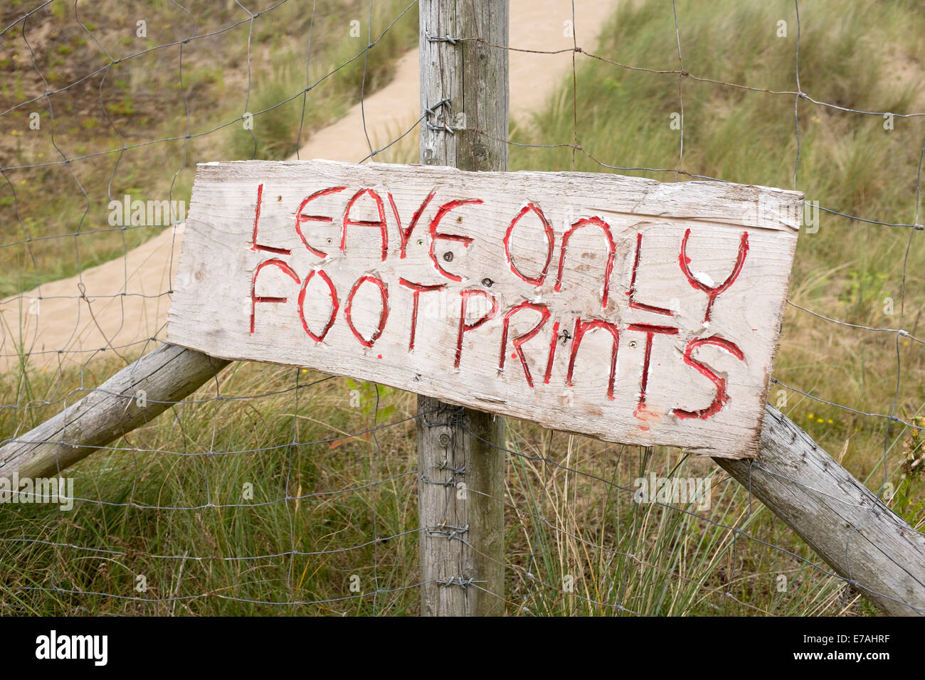 Ne laissez que des empreintes de pied imprime signer Wood Beach Banque D'Images