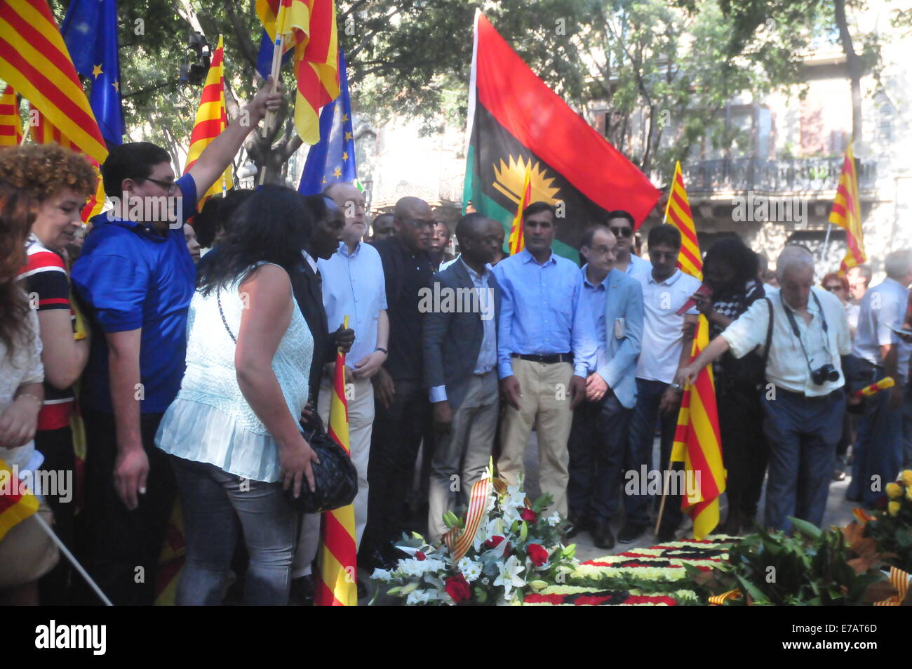 Barcelone, Espagne. Sep 11, 2014. Diada Catalogne (Barcelone, 11 septembre 2014) Association of Biafra Crédit : Monica Condeminas/Alamy Live News Banque D'Images