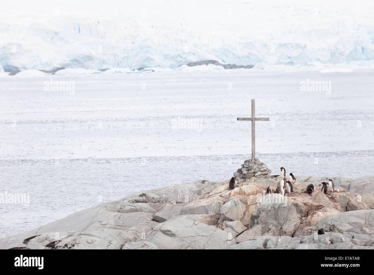 Gentoo à longue queue colonie de pingouins et une commémoration croix (Pygoscelis papua), l'Antarctique, l'Île Petermann Banque D'Images