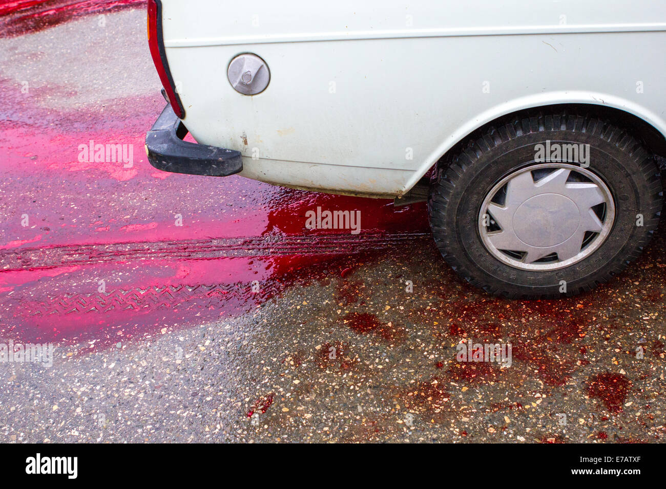 Une voiture roulant dans le sang frais d'un mouton, abattus rituellement sur l'Achoura, dans Bijar, Iran. Banque D'Images