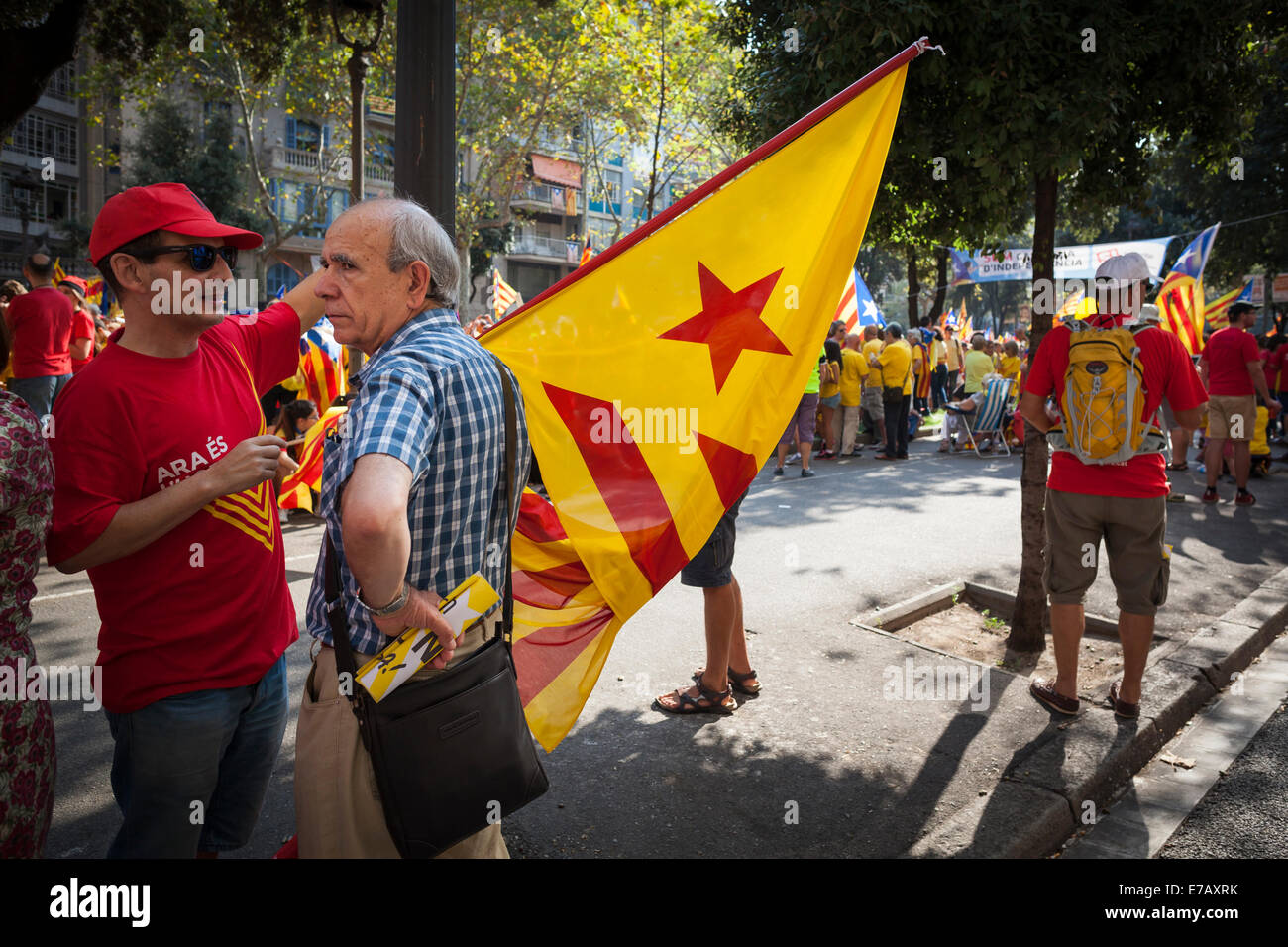 Barcelone, Catalogne, Espagne. 11 septembre 2014. Peuple Catalan tenant un drapeau de l'indépendance et la queue pour former un 7-mile de long V pour vote sur le référendum d'autodétermination prévu le 9 novembre. Banque D'Images