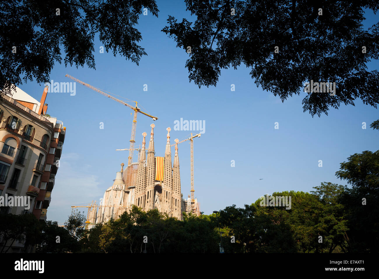 Barcelone, Catalogne, Espagne. 11 septembre 2014. Drapeau Catalan accroché sur la Sagrada Familia. Catalans de l'alignement pour former un 7-mile de long V pour vote sur le référendum d'autodétermination prévu le 9 novembre. Banque D'Images