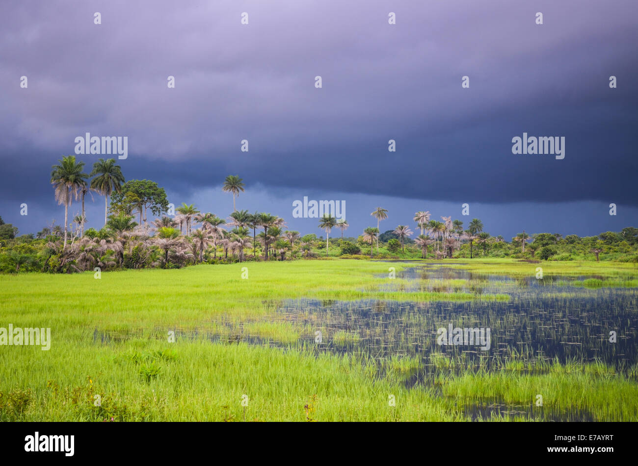 Ciel menaçant pendant la saison des pluies en Sierra Leone, en Afrique de l'Ouest Banque D'Images