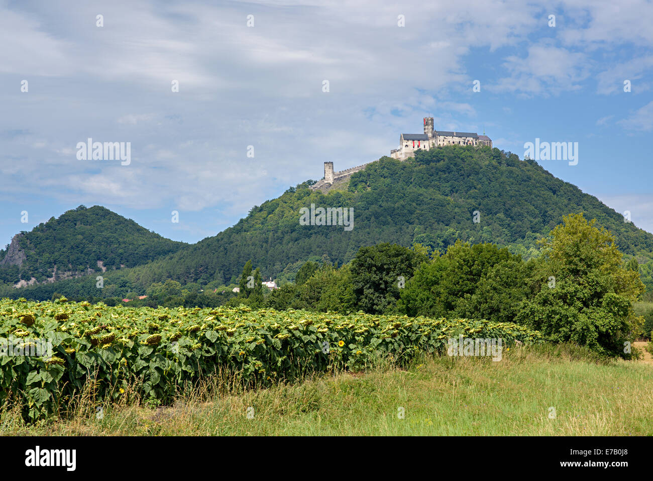 Château Bezdez en Bohême Banque D'Images