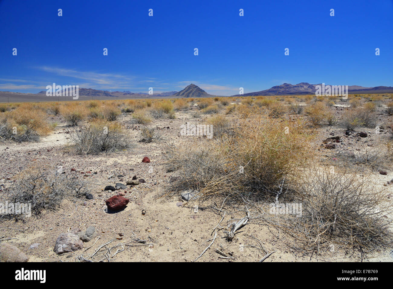 Death Valley National Park, désert de Mojave Banque D'Images