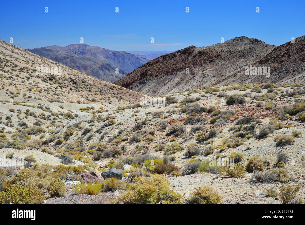 Death Valley National Park, désert de Mojave Banque D'Images