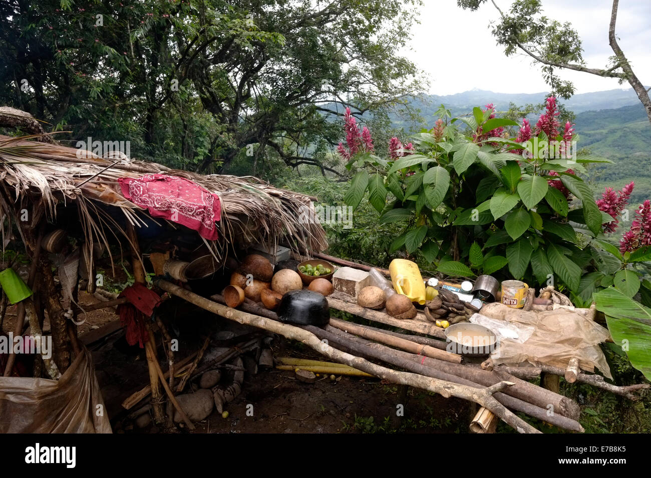 Cuisine dans un village forestier de Comarca Quebrado Guabo réservation dans la province de Chiriqui République du Panama Banque D'Images