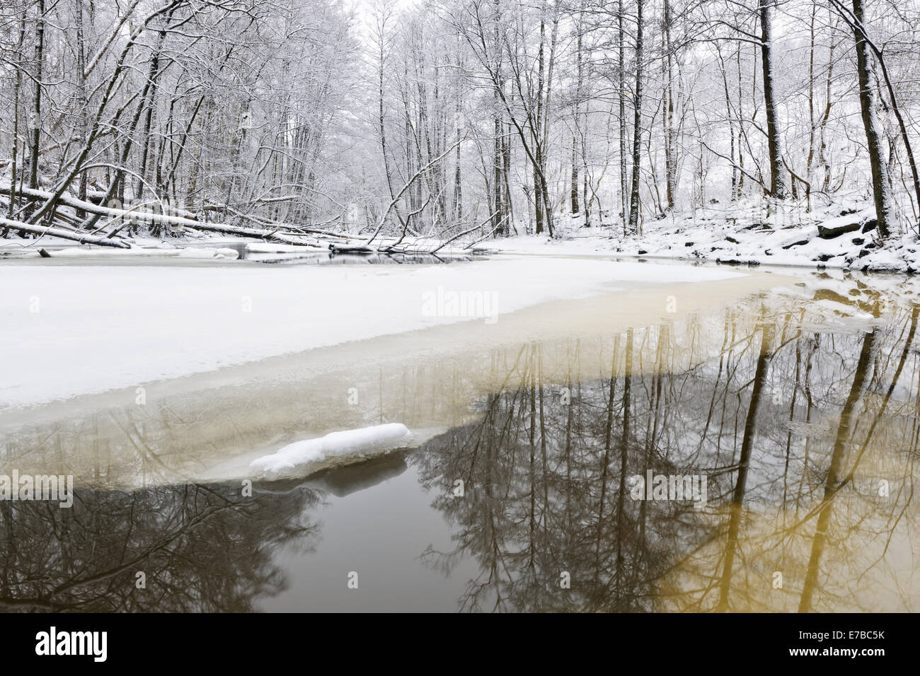 Rivière et forêt enneigée Banque D'Images