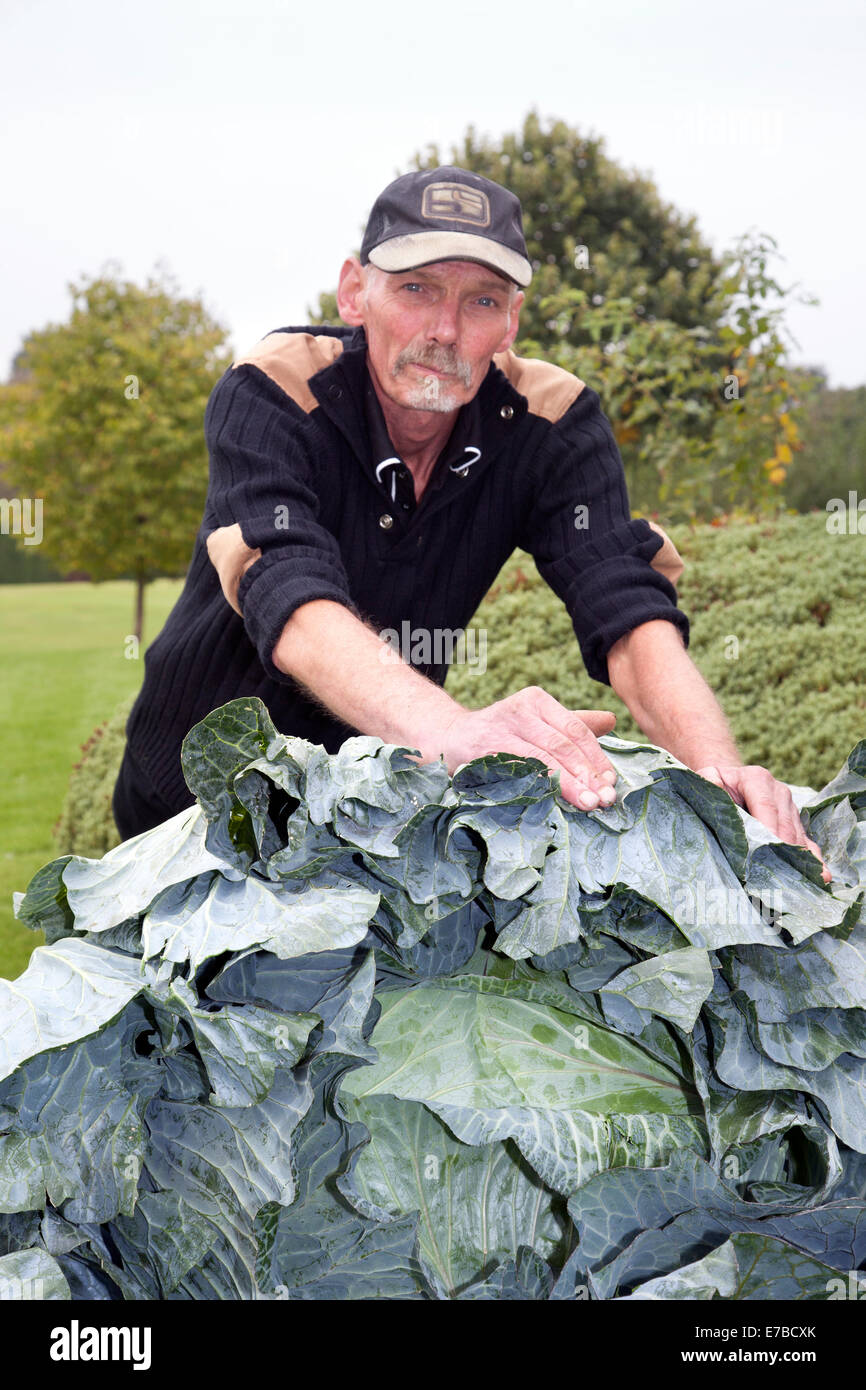 Harrogate, Yorkshire, UK. 12 Septembre, 2014. Jean Hollingrake de Flintshire avec son 94lb 6oz Cornish 'Giant' gagnant plus le chou-fleur, qui remplit une brouette, à la Harrogate Automne Annuel Flower Show, où les attractions incluent le concours de légumes géants, le spectacle étant classé au top des trois événements de jardinage. Banque D'Images