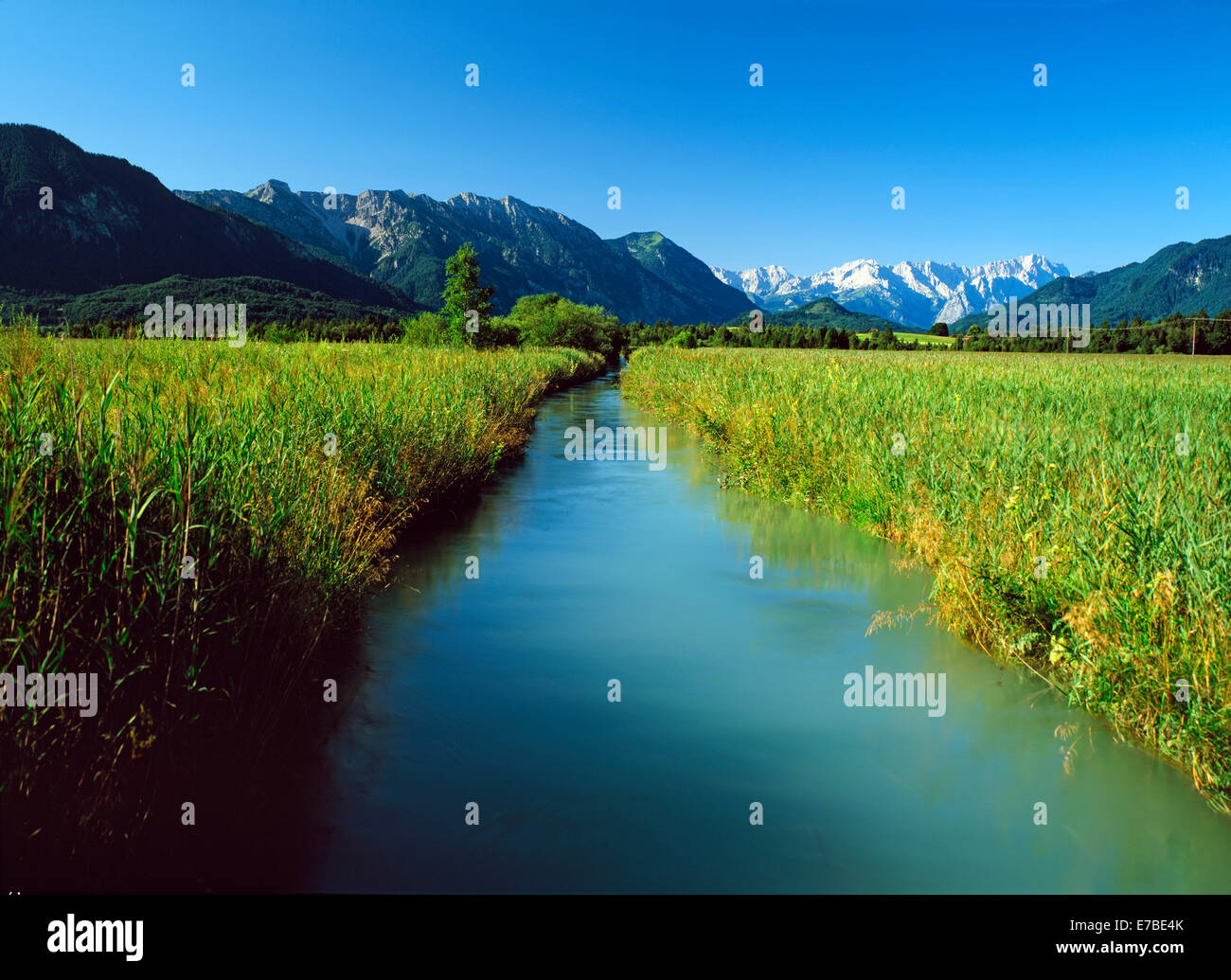 Murnauer Moos Moor, Murnau, en face de la montagne et de l'Ester Gamme Wetterstein, Haute-Bavière, Bavière, Allemagne Banque D'Images