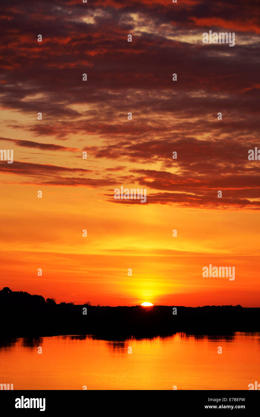 Le lever du soleil, parc national de Biebrza, Podlaskie Voivodeship, Pologne Banque D'Images
