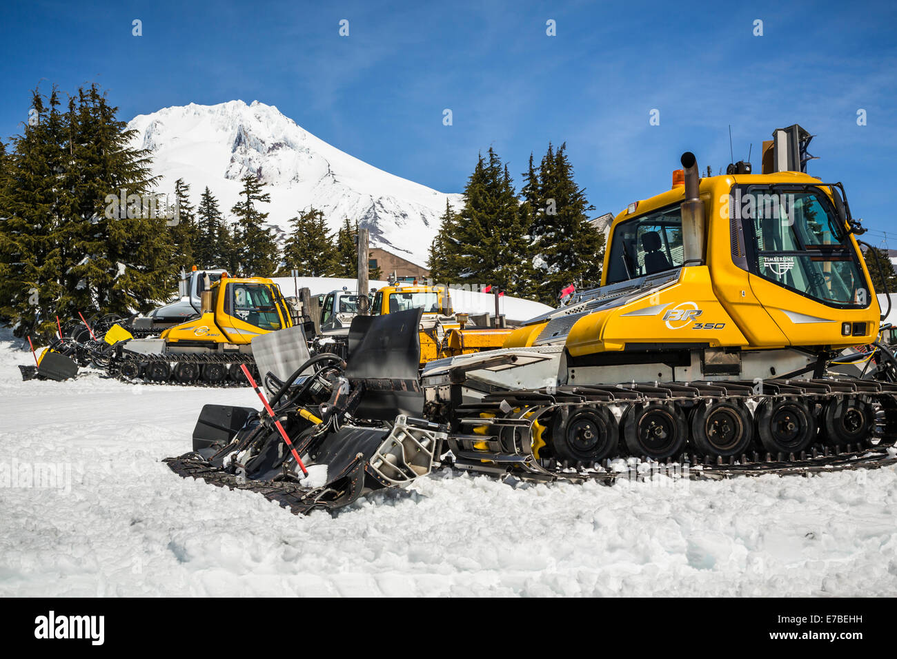 Pente de ski matériel de toilettage au Mt. Hood Meadows ski accessible à la base de Mt Hood, Oregon, USA. Banque D'Images
