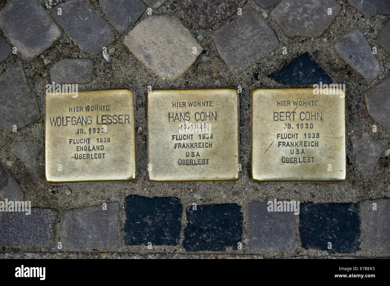Plaques en laiton ou 'Stolpersteine' commémorant les anciens habitants juifs de chambre à Stralsund, Allemagne. Banque D'Images
