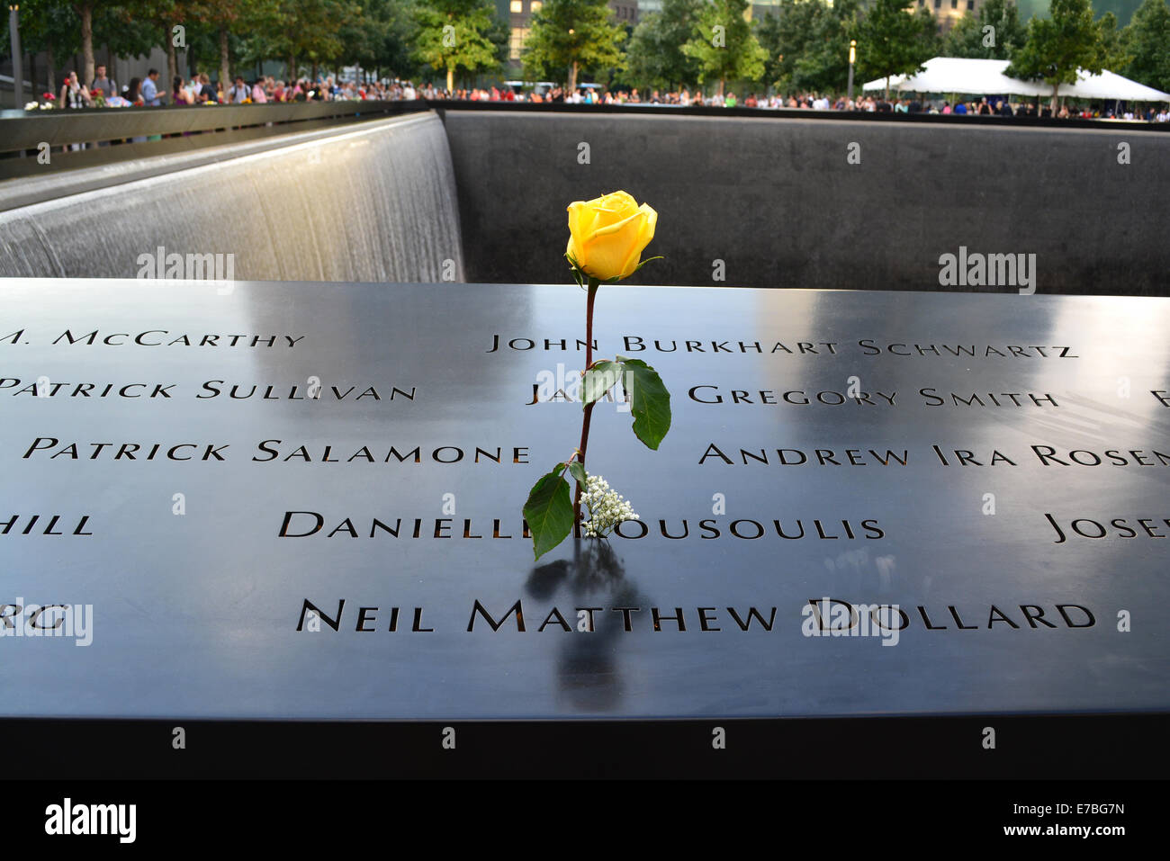 New York, USA. 11 Septembre, 2014. Flower gauche au Mémorial National le 11 septembre pour le 13e anniversaire des attaques terroristes au Ground Zero à New York. Crédit : Christopher Penler/Alamy Live News Banque D'Images