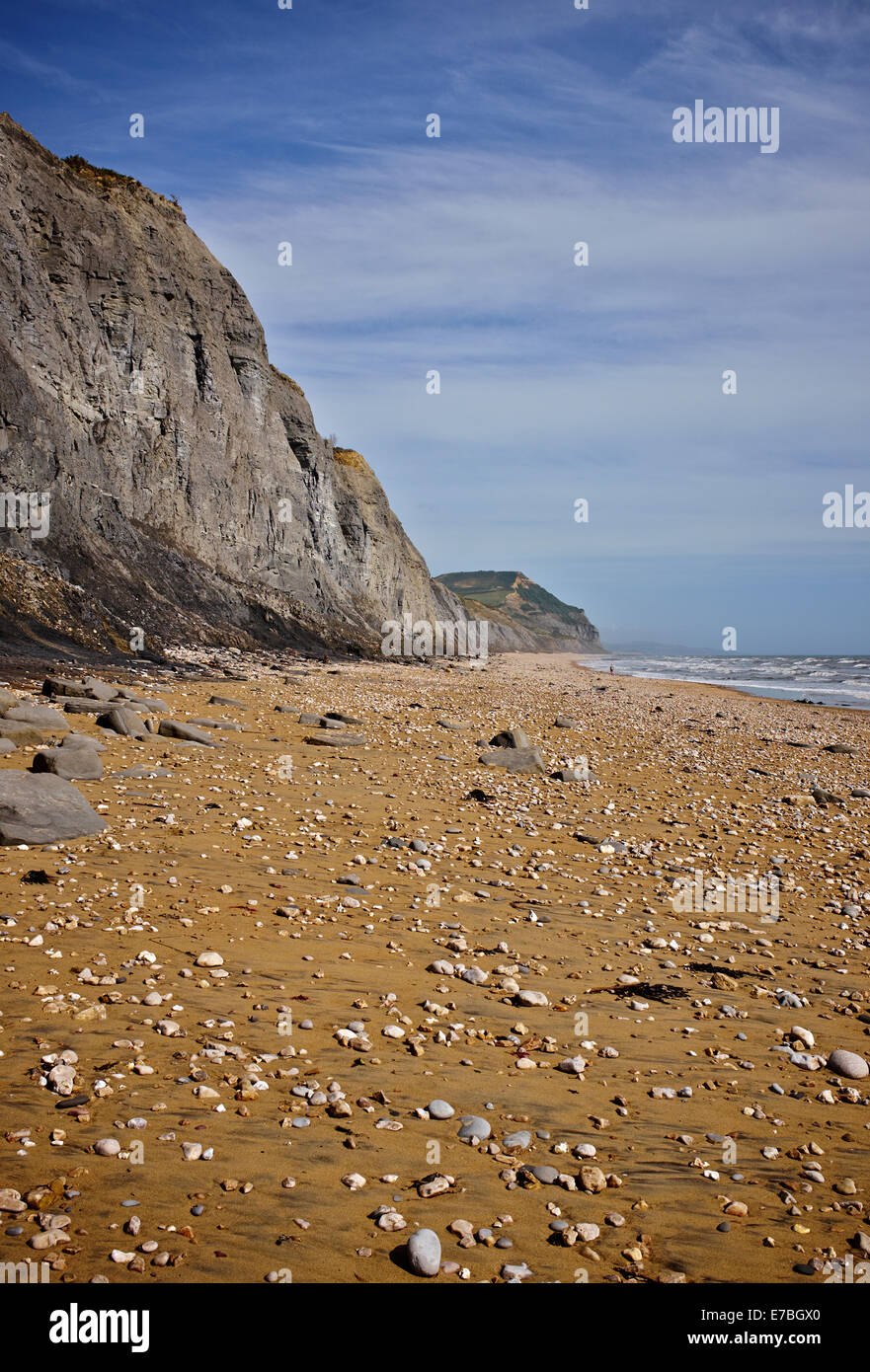 La Côte Jurassique, Charmouth, la baie de Lyme, West Dorset, Angleterre, Royaume-Uni. Banque D'Images