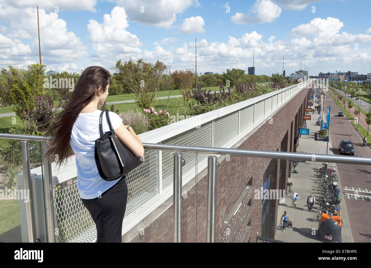 13 août 2014 - Rotterdam, Hollande méridionale, Pays-Bas, Holland - une fille est debout sur le toit d'un immeuble commercial. 9 mètres au-dessous de son est un énorme centre commercial. ..Dans la région de Rotterdam est le plus grand parc public sur un immeuble commercial en Europe. Sur 9 mètres de haut, sur le dessus à Bigshops Marconi Plaza, est un parc verdoyant avec trois jardins à thèmes..Le parc est la mesure de huit hectares et offre une vue sur la ville et le port. Il est à 800 mètres de long, 80 mètres de large et 9 mètres de haut. Ci-dessous le parc est 25 000 m2 d'espace de vente au détail.Il n'est pas seulement une zone commerçante et un endroit où vous pouvez recréer, le même t Banque D'Images