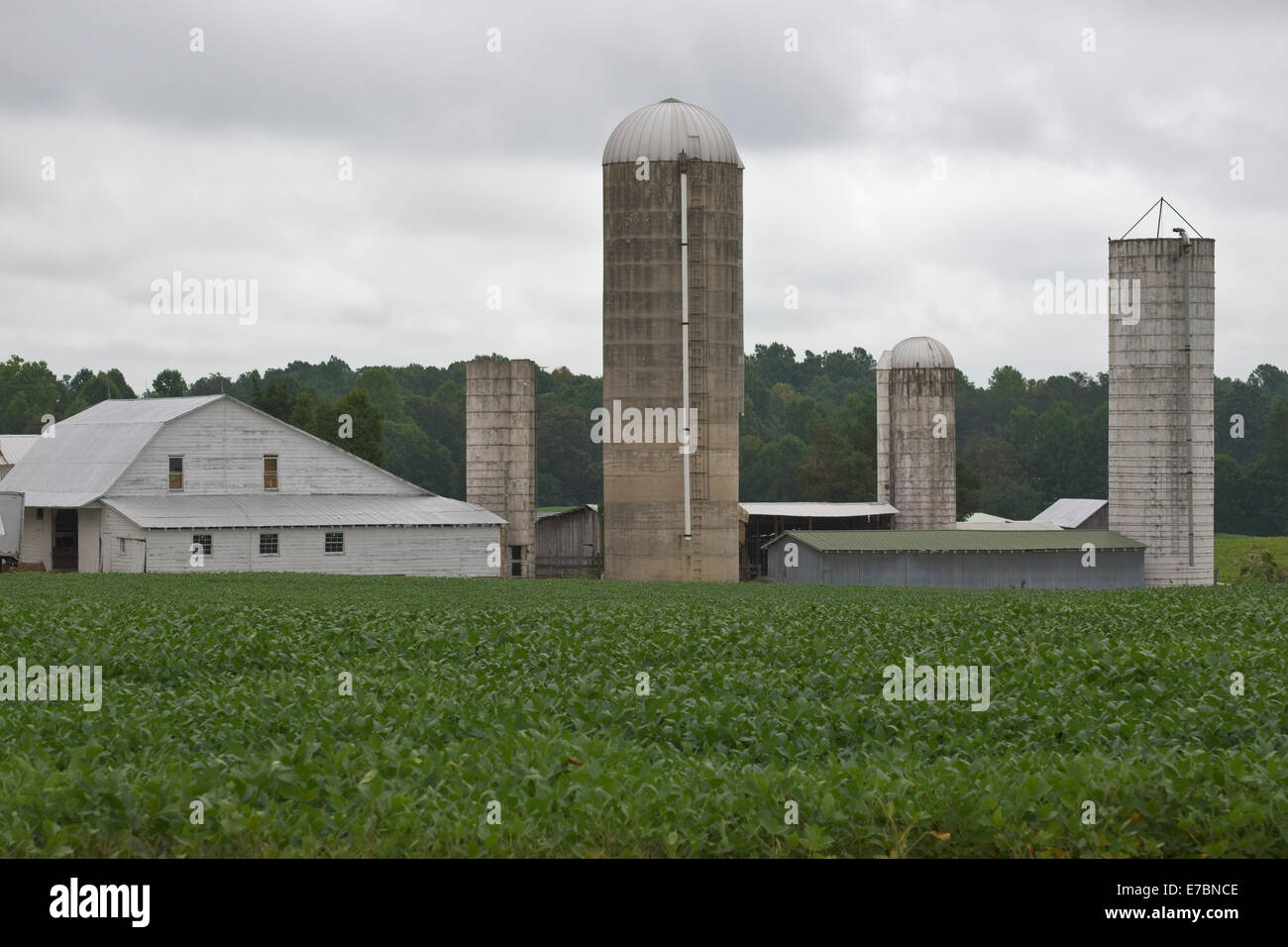 Les silos et les vieux bâtiments de ferme. La ferme de Caroline du Nord Banque D'Images