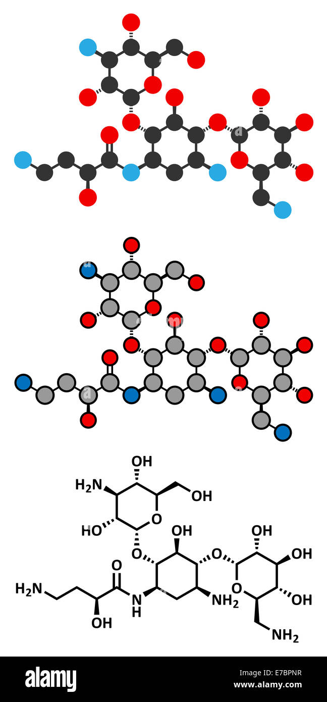 Molécule antibiotique aminoglycoside amikacine. Principalement utilisé comme traitement de dernier recours de bactéries à Gram négatif. Banque D'Images