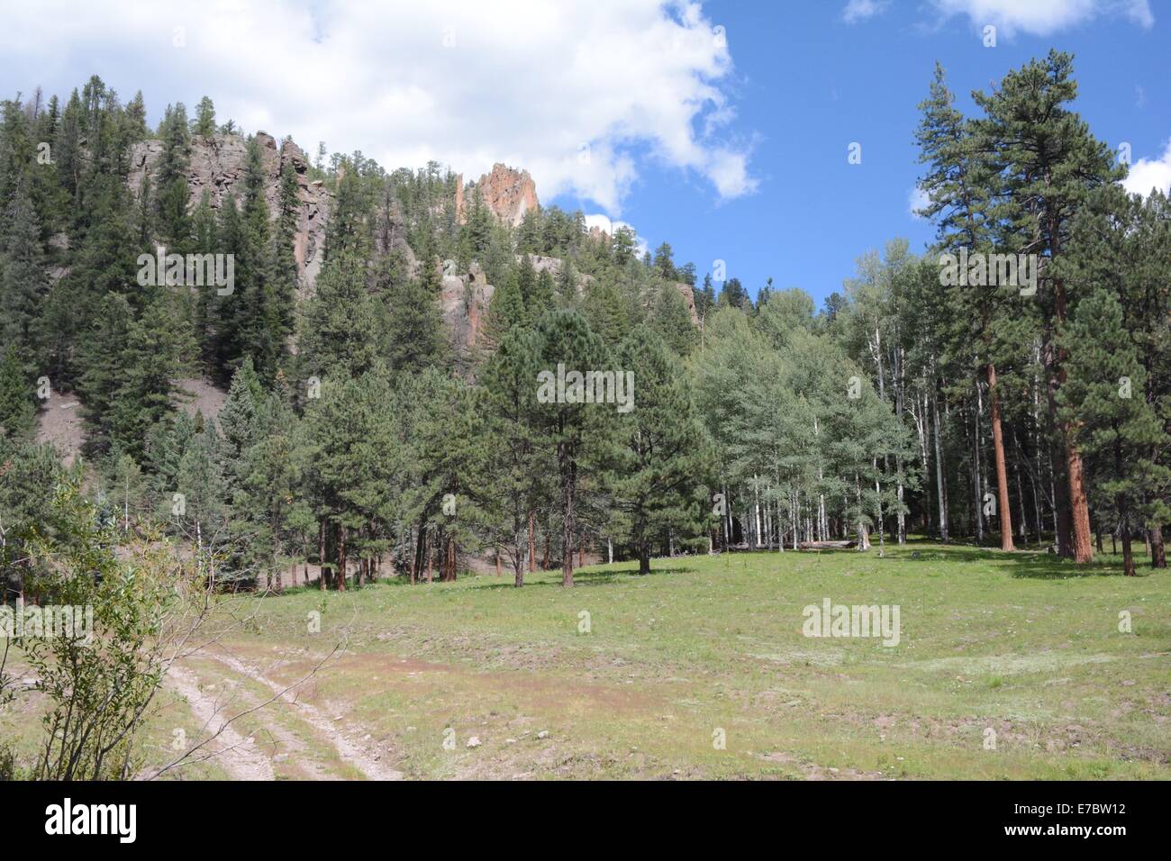 Vieille route sentier tourné en montagnes près de sept sources Fish Hatchery Banque D'Images