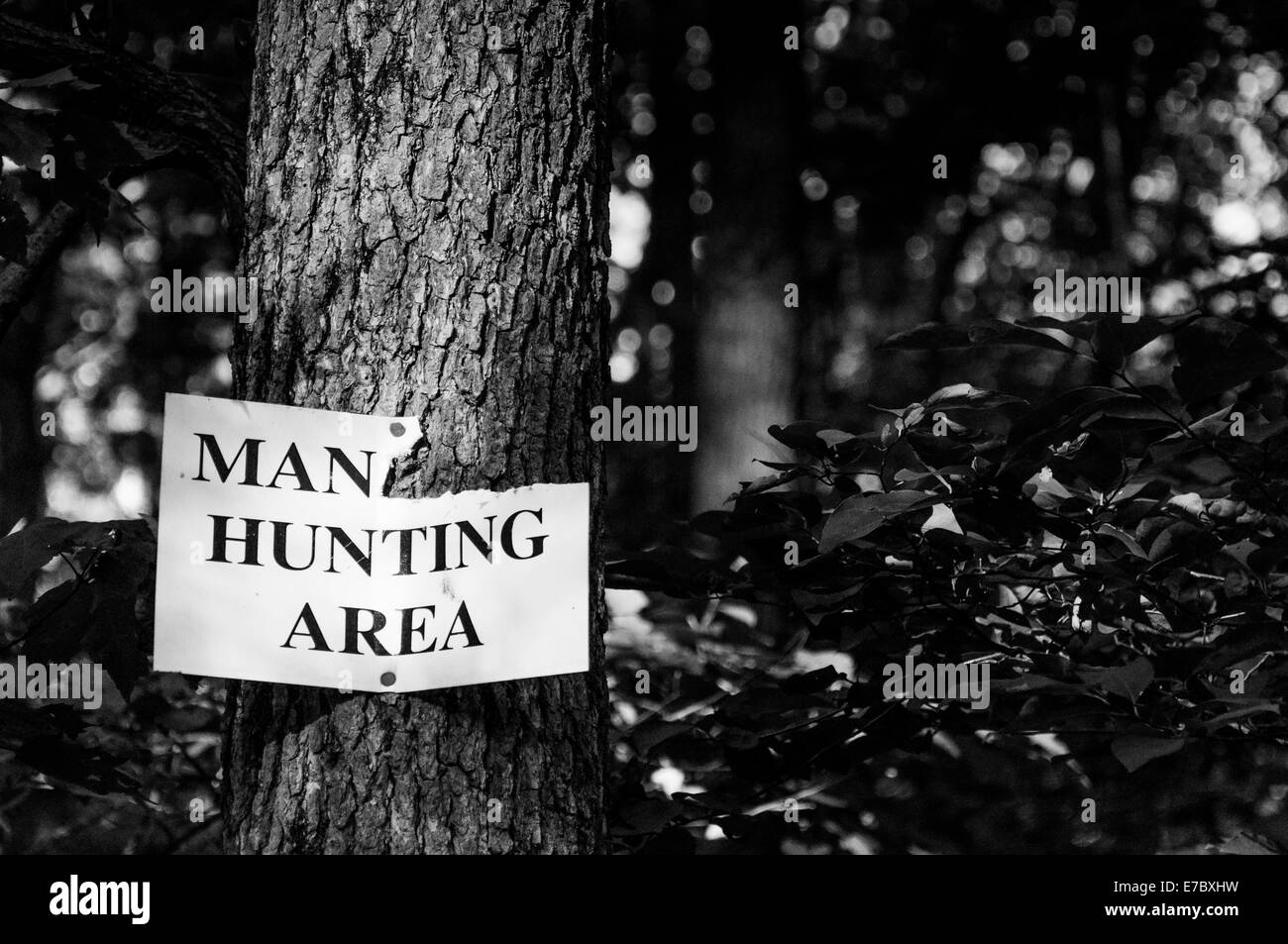 Le règlement de chasse déchirés signe, le long de l'Appalachian Trail dans le Maryland. Banque D'Images