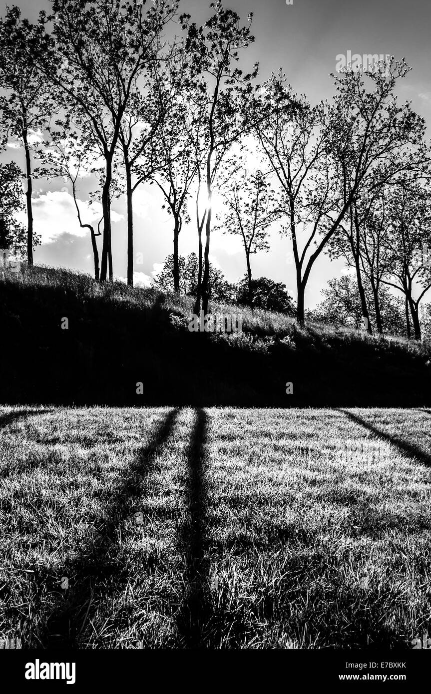 Soleil qui brille à travers les arbres et les ombres sur l'herbe au champ de bataille National d'Antietam, Maryland (Vertical). Banque D'Images