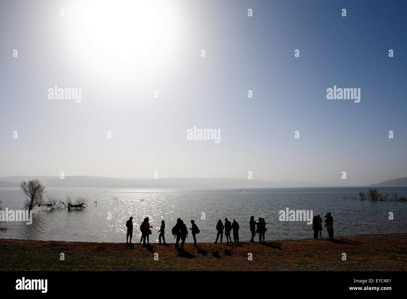 Groupe de jeunes debout dans le rétro-éclairage tôt le matin en mer de Galilée, de Tibériade, Israël Banque D'Images