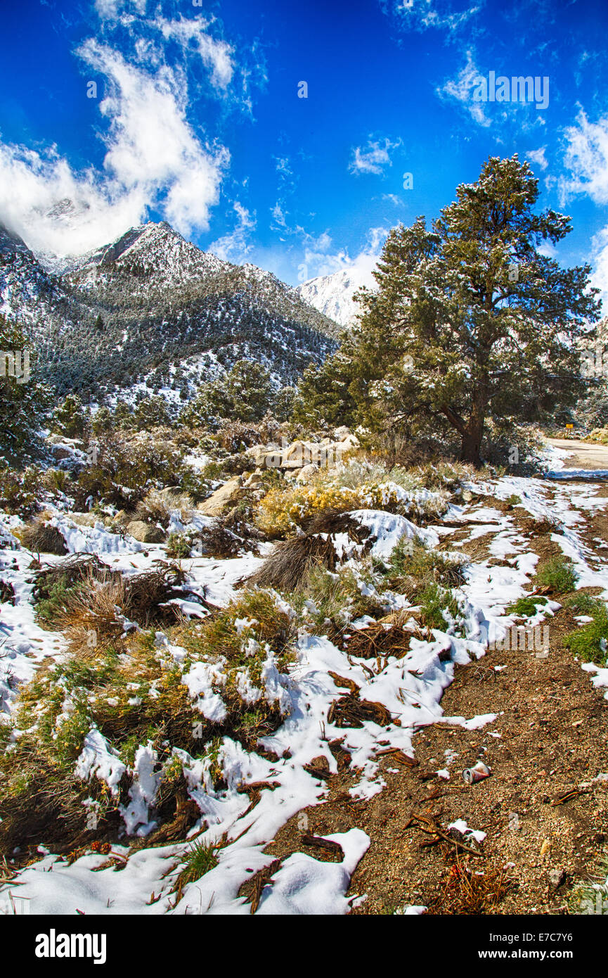 Neige de printemps dans l'Est de la Sierra Nevada. La Californie, USA Banque D'Images