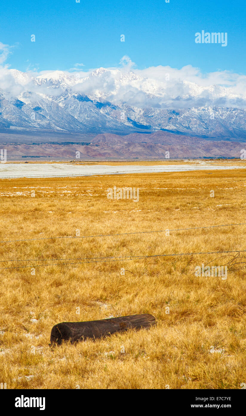 Les champs d'une ancienne ferme au pied de la partie Est de la Sierra Nevada. La Californie, USA Banque D'Images