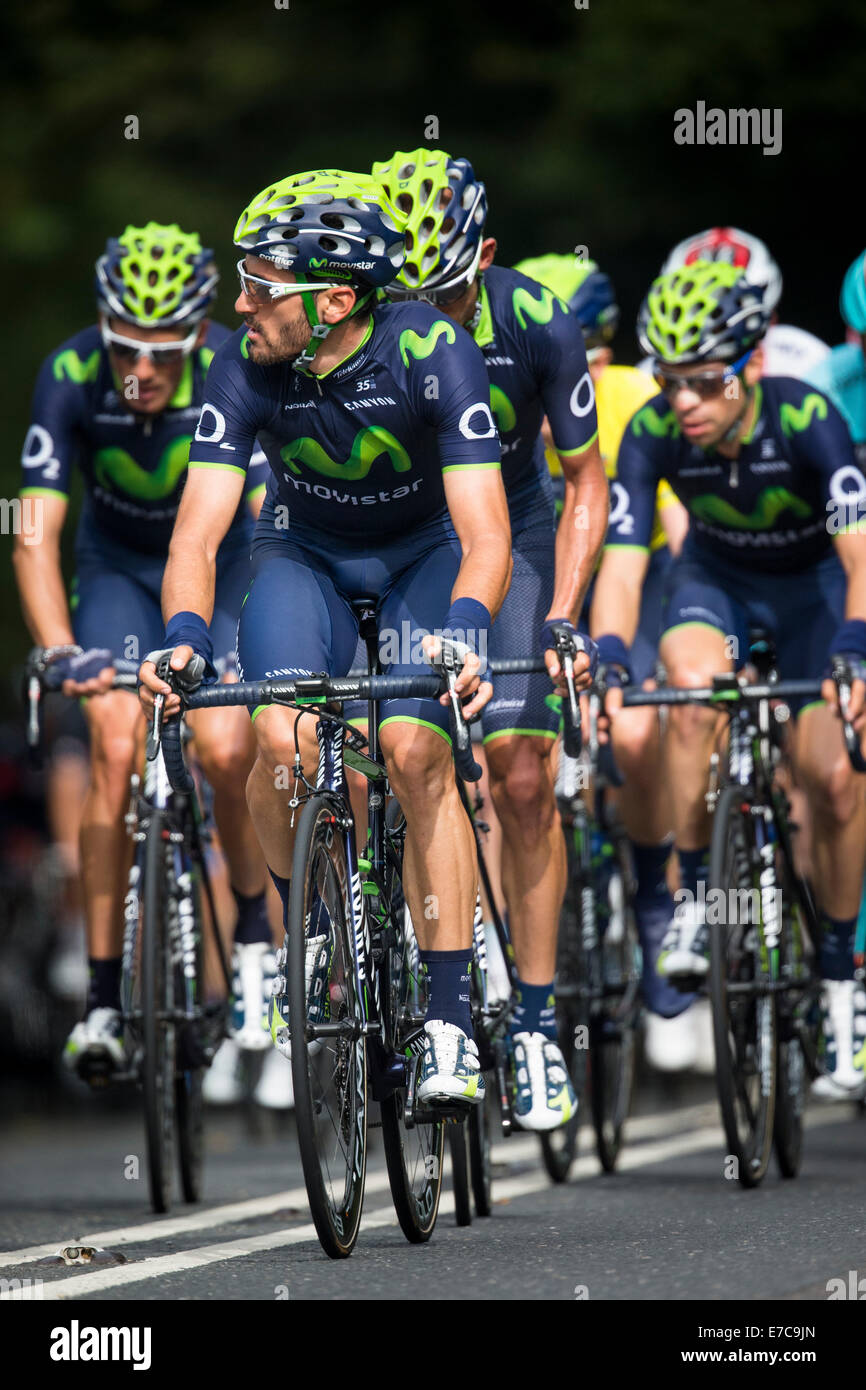 Quipe cycliste movistar new arrivals