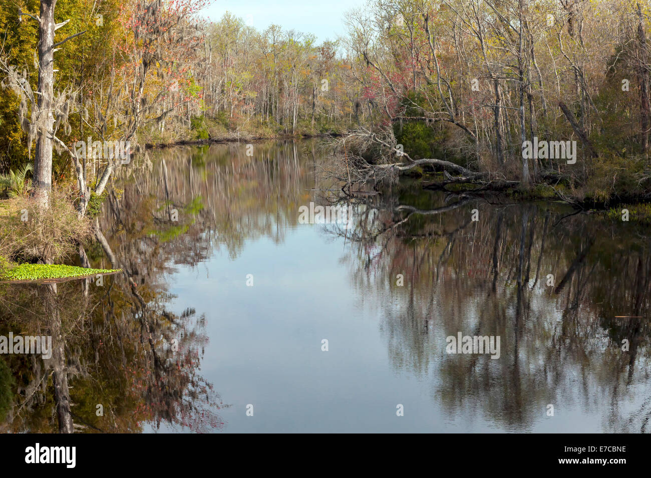 River's Edge boisées, eaux calmes de Lofton Creek près de Fernandina Beach en Floride Nord juste au nord de Jacksonville, Floride. USA Banque D'Images
