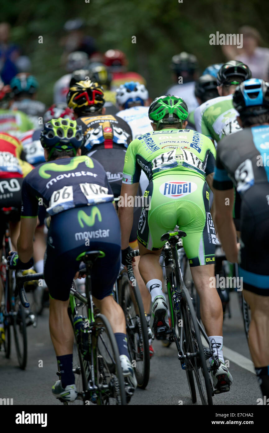 Groupe de cyclistes en compétition dans Tour of Britain 2014 lors de l'étape 7 (Camberley à Brighton) Banque D'Images