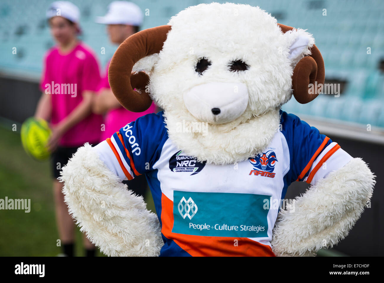 Sydney, Australie. 13 Septembre, 2014. Plus de Sydney Rams 'Armée Cornu' Mascot. Credit : MediaServicesAP/Alamy Live News Banque D'Images