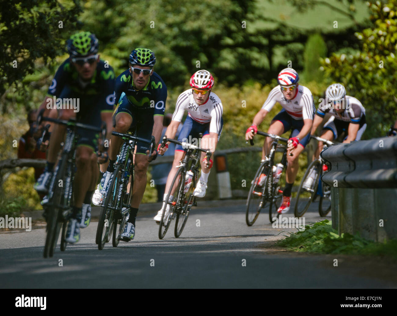 Horsham, West Sussex, UK. 13 Septembre, 2014. Groupe de cyclistes en compétition dans Tour of Britain 2014 lors de l'étape 7 (Camberley à Brighton) prises près de Horsham, Sussex de l'Ouest. Crédit : Christopher Mills/Alamy Live News Banque D'Images