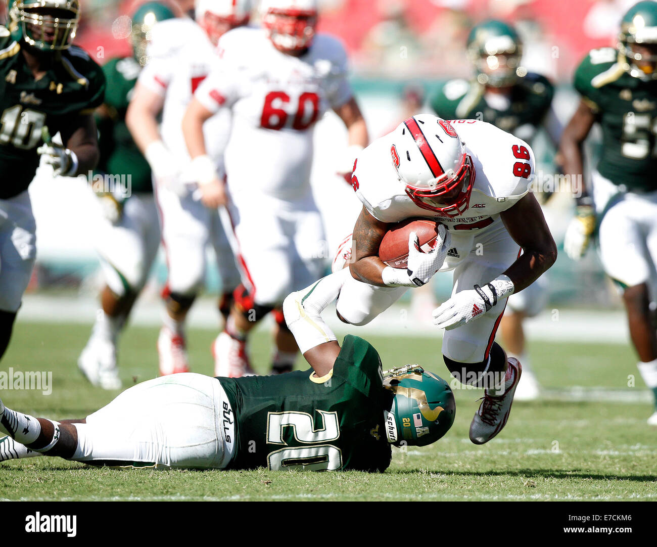 13 septembre 2014 - City, Floride, États-Unis - OCTAVIO JONES | fois .North Carolina State Wolfpack tight end David Grinnage (86) est abordé par le South Florida Bulls Devin évoluait Abraham (20) lors de l'obtention de la première vers le bas dans le deuxième trimestre chez Raymond James Stadium le samedi 13 septembre, 2014. N.C. La Floride du sud de l'État vaincu 49 à 17. (Crédit Image : © Octavio Jones/Tampa Bay Times/Zuma sur le fil) Banque D'Images
