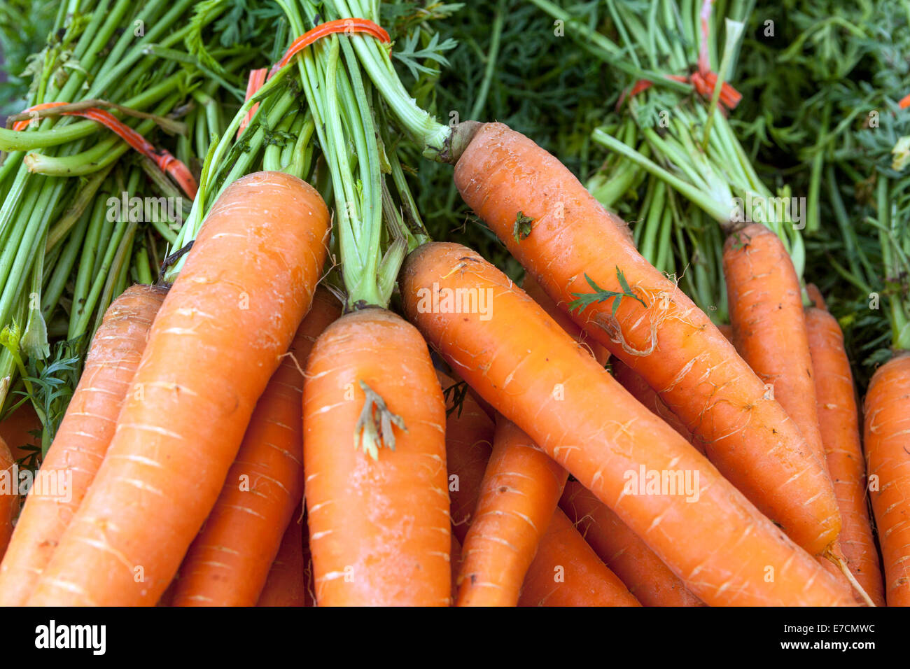 Carotte, carottes Banque D'Images