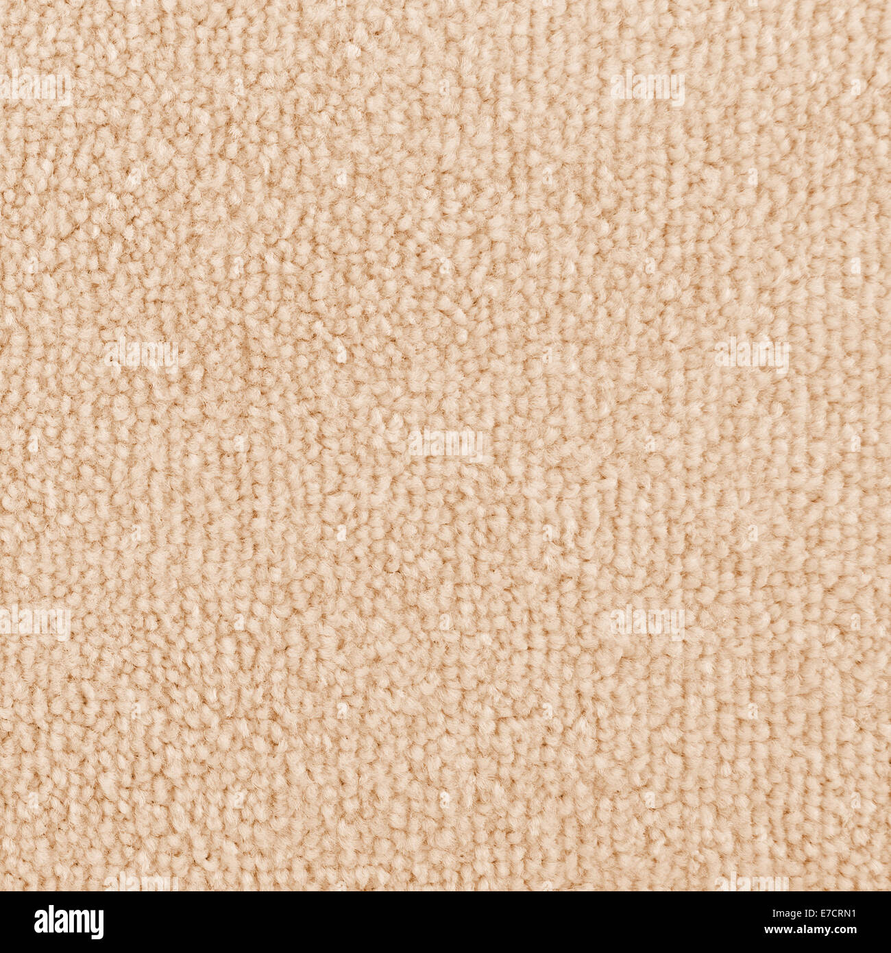 Le nouveau tapis de texture. La moquette beige claire comme arrière-plan transparent. Banque D'Images