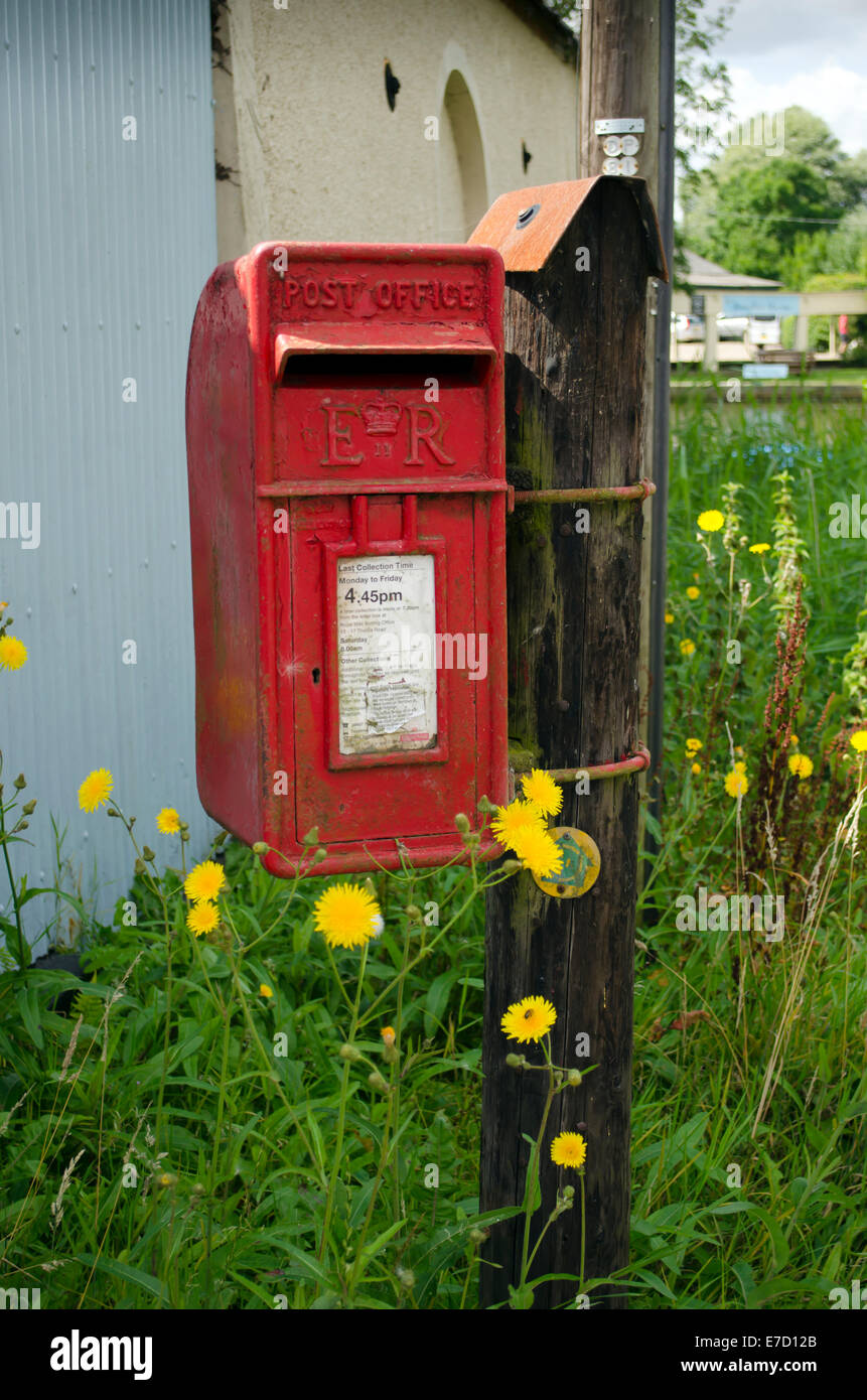 Un s'est évanoui et délabrées post box village entouré par de long uncut herbe verte et pissenlits Banque D'Images